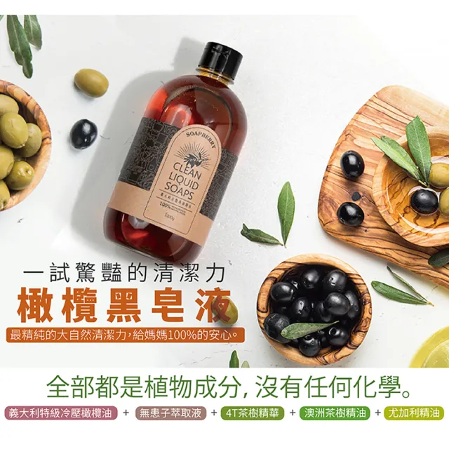 【古寶無患子】2瓶入義大利古製果油脂皂1000g 原味/橘油 任選組(黑皂液/橄欖皂液/去油汙/居家清潔)