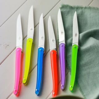 【Forge de Laguiole】JM Wilmotte 聯名設計款-牛排雙刀禮盒組(多色選擇)