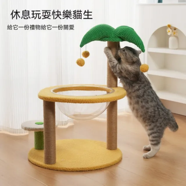 【艾嘉圖】大號貓爬架 小型不佔地貓架子 貓窩貓樹一體 貓抓柱 幼貓咪玩具用品(太空艙爬架48*48*70)