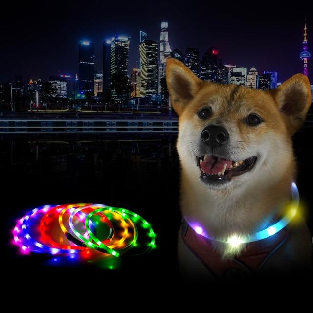 【DREAMCATCHER】Type-C寵物發光項圈(寵物項圈 發光項圈 狗狗項圈 LED項圈 夜光項圈)
