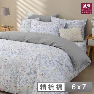 【HongYew 鴻宇】300織美國棉 兩用被套-艾菲亞(雙人)