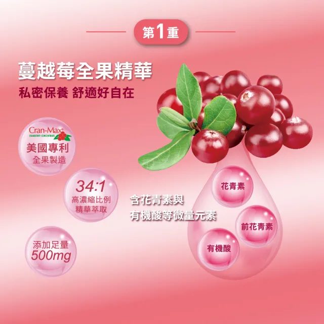 【娘家官方直營】蔓越莓聖潔莓益生菌2盒組(30包/盒)