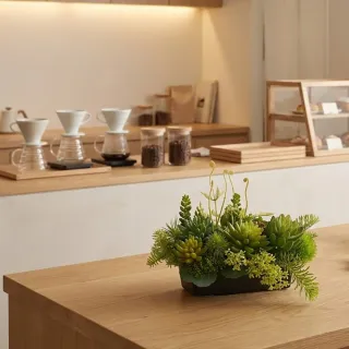 【HUGO DECO 榆果傢飾】拾光角落多肉石蓮香氛植物(擬真花/人造盆栽/綠化/佈置/禮物)