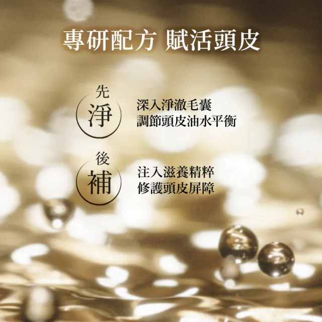 【Hair Recipe】舊品出清! 生薑蘋果/ 生薑清茶 洗髮精/潤髮乳530g 3入(強韌x防斷)