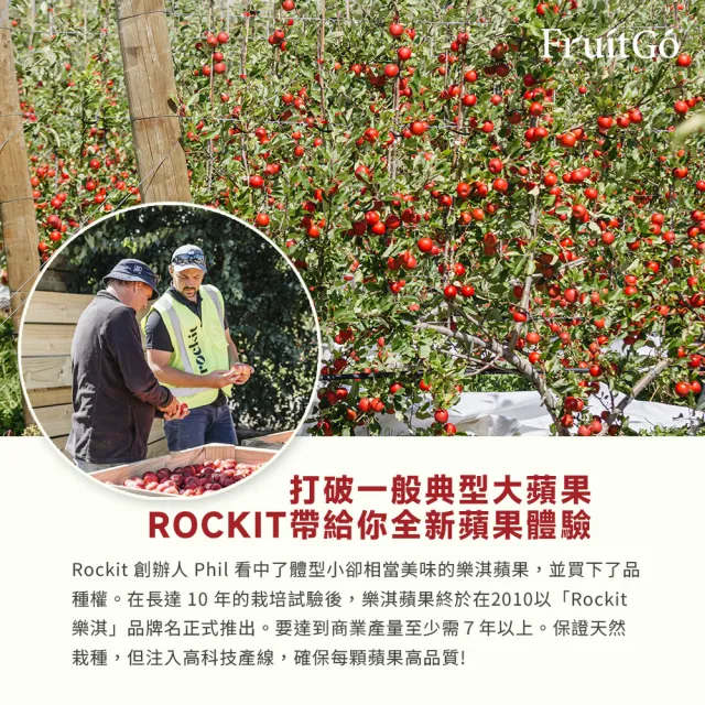 【FruitGo 馥果】紐西蘭 樂淇蘋果10管_2顆/管(#224禮盒直送)(中元普渡 水果送禮)