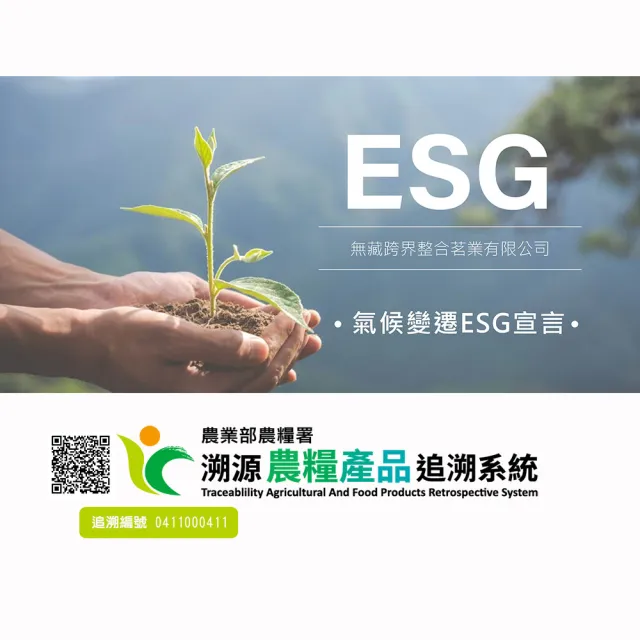 【無藏茗茶】X卷尾設計 聯名禮盒 臺灣茶書｜臺灣十大特色茶風味輪典藏禮盒(茶葉禮盒/附提袋)