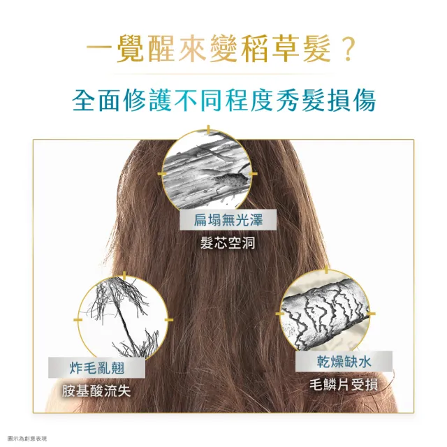 【Dove 多芬】小金碗女大推薦 胺基酸修護髮膜x4入(防斷修護/水潤修護)