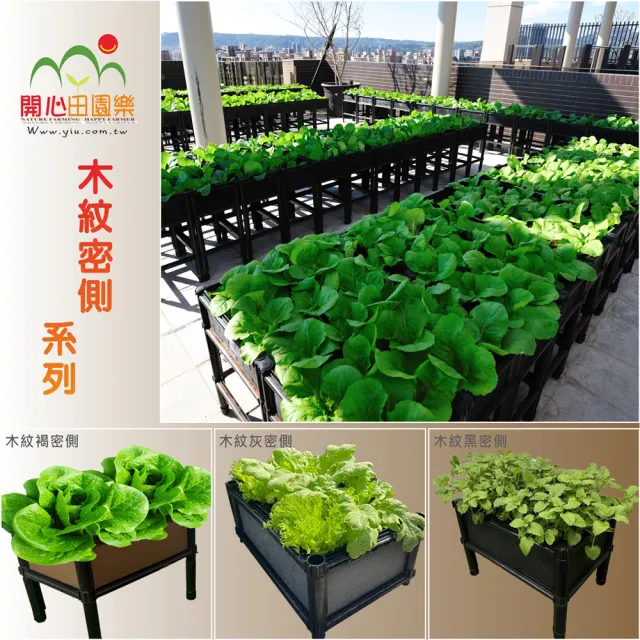 【田園樂】育材單層六連通種植箱 90*90*21cm(組合種植箱/籃耕離地栽培/可選多種側板款式)