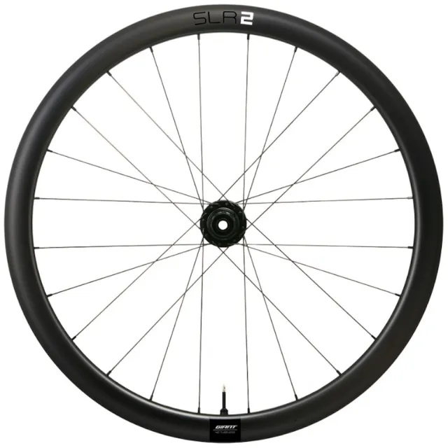 【GIANT】GIANT SLR 2 42 碳纖維 碟煞版 中鎖式 前後輪組 全能框(公路車 自行車)