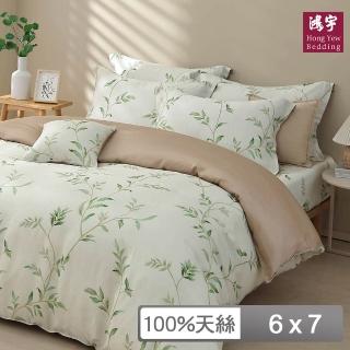 【HongYew 鴻宇】60支100%天絲 兩用被套-芮雅(雙人)