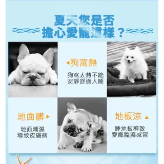 【ROYAL LIFE 皇室生活】寵物涼感冰絲面睡墊床窩-涼感墊L 4入組(寵物窩/寵物涼感墊/透氣/狗窩/貓窩/睡床)