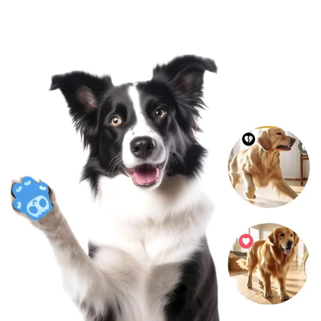 【Pet Universe 多寵宇宙】狗狗止滑貼-24入(寵物止滑貼 寵物足貼 狗狗腳貼 狗狗防滑貼 寵物腳貼 狗狗足貼)