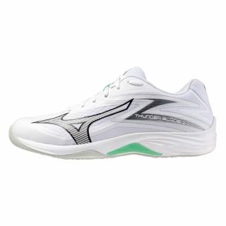 【MIZUNO 美津濃】排球鞋 男鞋 女鞋 運動鞋 緩震 一般型 2.5E楦 THUNDER BLADE 白黑綠 V1GA237016