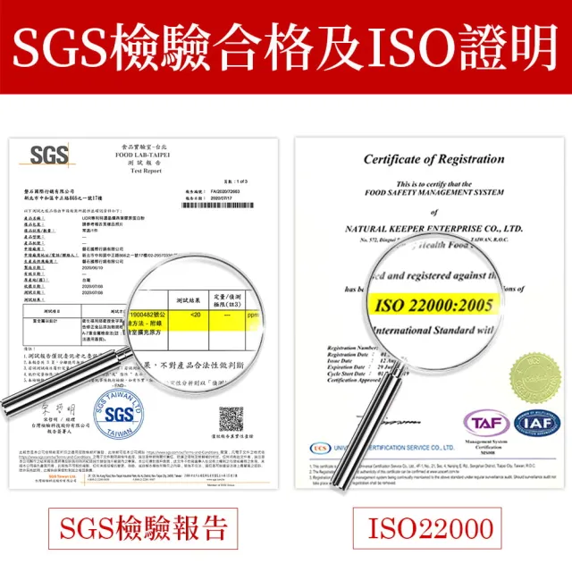 【UDR】專利特濃晶鑽燕窩膠原蛋白粉x8盒(20包/盒 澎潤膠原)