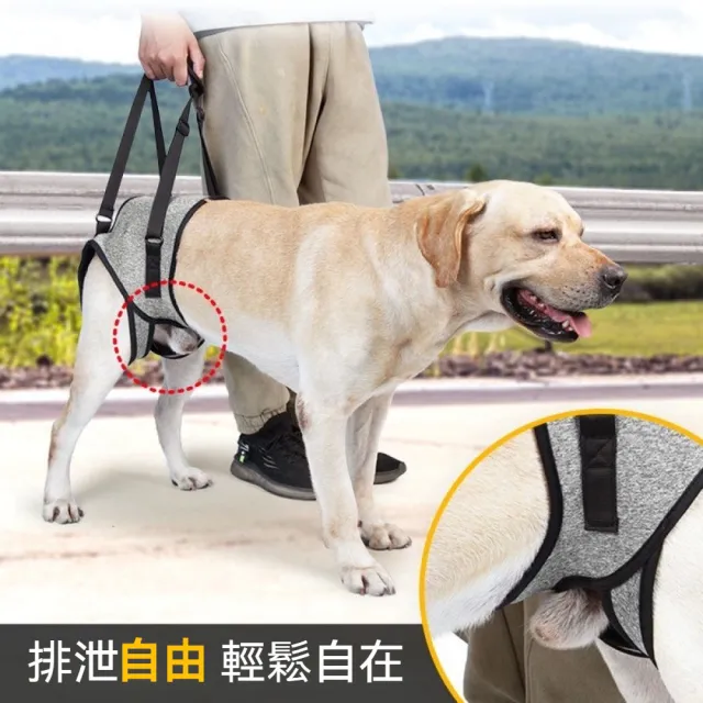 【Pet Universe 多寵宇宙】後肢輔助帶-北極灰(狗狗輔助帶 寵物輔助帶 狗輔助帶 老犬輔助帶 寵物輔助 老犬)
