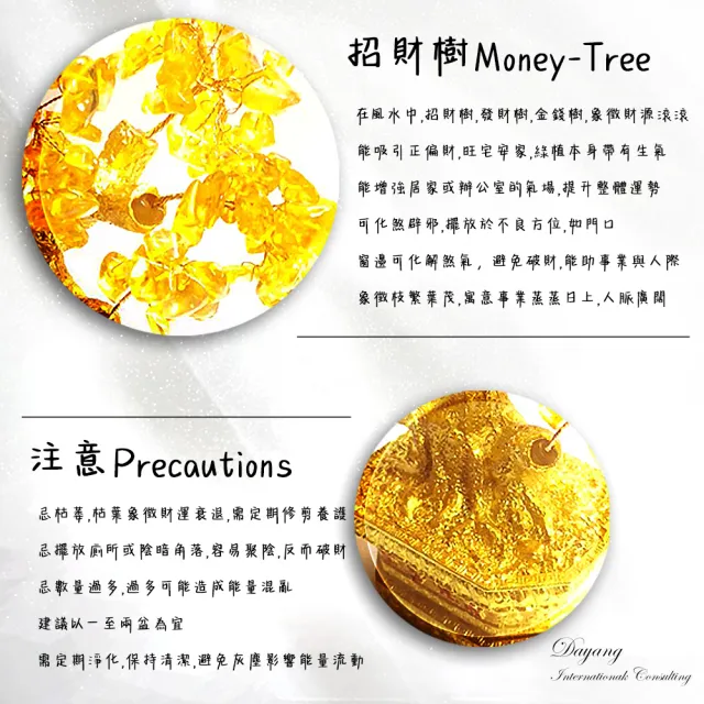 【林海陽】生生不息發大財招財樹
