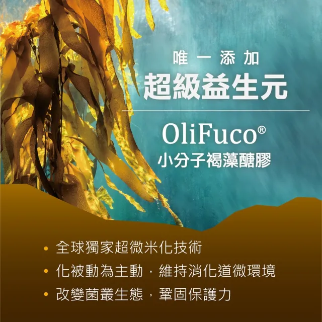 【中華海洋生技】HiQ 褐益菌-暢健雙重配方 粉末型 3gx30包/盒(小分子褐藻醣膠)