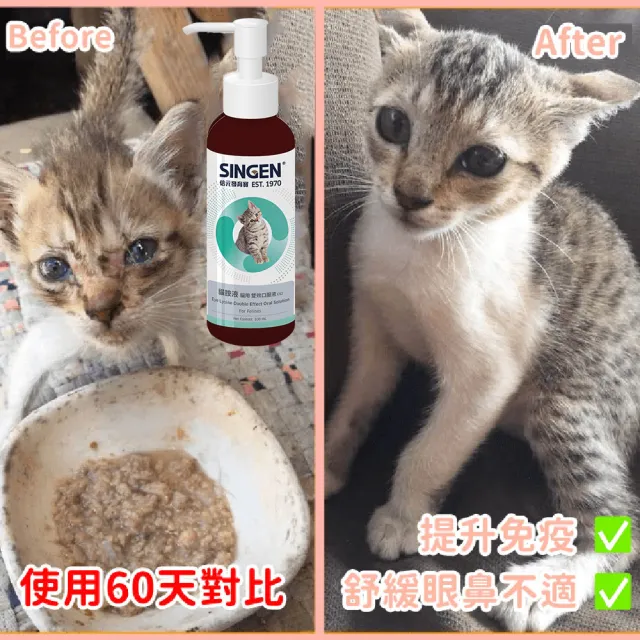 【SINGEN 信元發育寶】貓用呼吸道口服液-100ml/罐(貓狗保健/貓咪保健/呼吸道保健/離胺酸/提升免疫力)