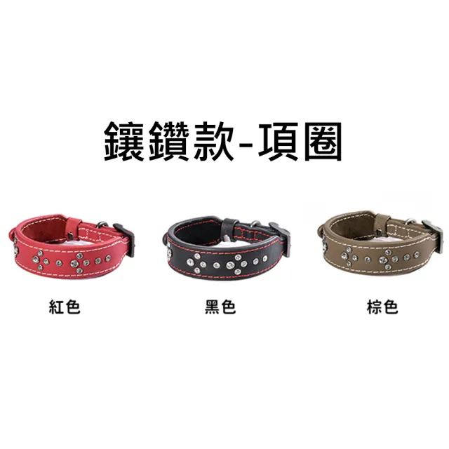【美好寵商】DOGNESS多尼斯 真皮系列鑽石項圈_XS號(狗項圈 狗狗項圈 真皮項圈)