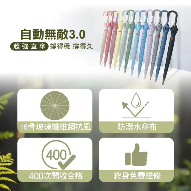 【雨傘王】BigRed 自動無敵 16骨 超強抗風 25吋自動長傘 颱風傘 大傘面(BigRed終身免費維修)