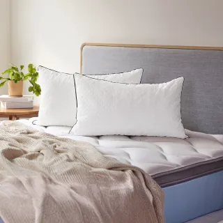 【Derek 德瑞克名床】棉柔雲端枕-2顆相伴好睡(給喜愛軟枕頭的你 加倍份量加倍支撐)