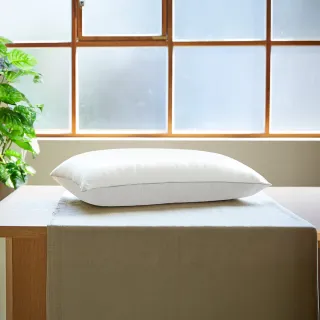 【Derek 德瑞克名床】抗菌防蟎竹炭枕-1顆搶先好睡