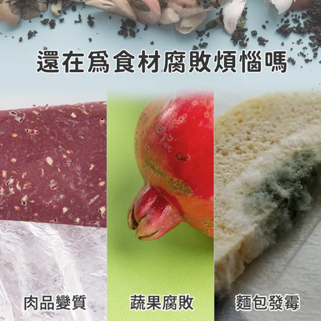 【MASTER】冷凍冰箱溫度計 營業用冰箱溫度計 帶磁鐵磁掛勾 B-ITG(測溫器 藥用冰箱溫度計 冷凍櫃)