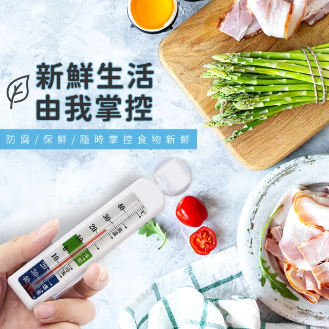 【MASTER】冷凍冰箱溫度計 營業用冰箱溫度計 帶磁鐵磁掛勾 B-ITG(測溫器 藥用冰箱溫度計 冷凍櫃)