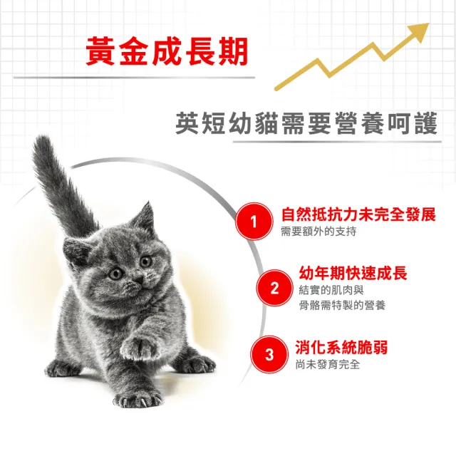 【ROYAL 法國皇家】英國短毛幼貓專用飼料 BSK38 2KG(貓乾糧 貓飼料 免疫力 腸胃)
