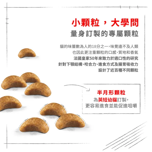 【ROYAL 法國皇家】英國短毛幼貓專用飼料 BSK38 2KG(貓乾糧 貓飼料 免疫力 腸胃)