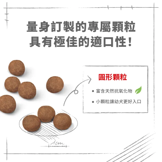 【ROYAL 法國皇家】大型幼犬專用飼料 MXP 4KG(狗乾糧 狗飼料 免疫力 腸胃)
