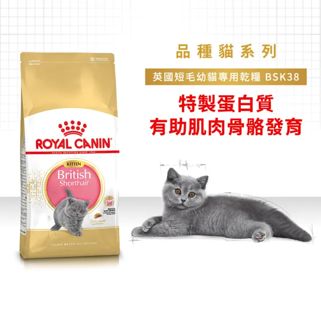 【ROYAL 法國皇家】英國短毛幼貓專用飼料 BSK38 10KG(貓乾糧 貓飼料)