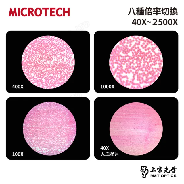 【MICROTECH】LX120 雙目生物顯微鏡-能雙目觀測的教師級顯微鏡