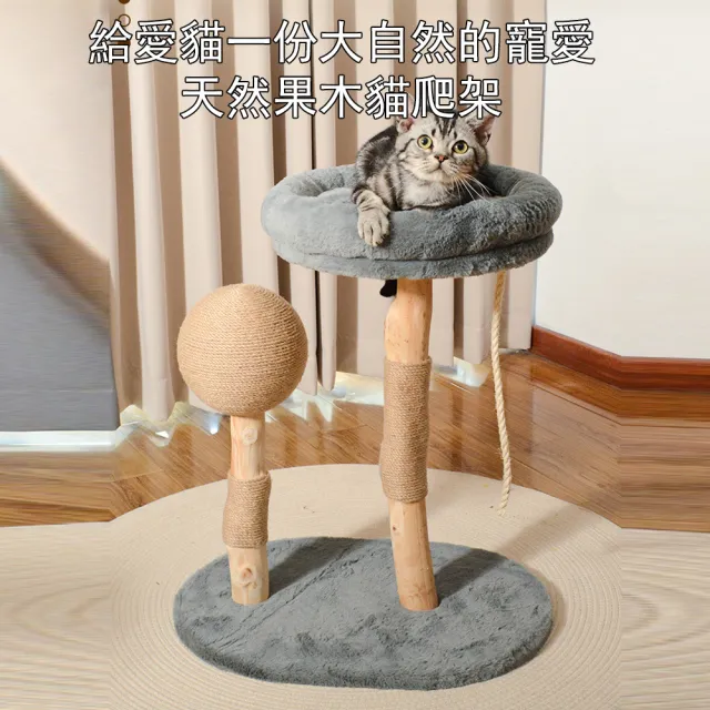 【IPSKY】實木貓爬架 多層貓爬架 劍麻貓抓柱 耐磨耐抓 小型不佔地 可拆洗貓窩 貓跳台 貓別墅 多貓家庭適用