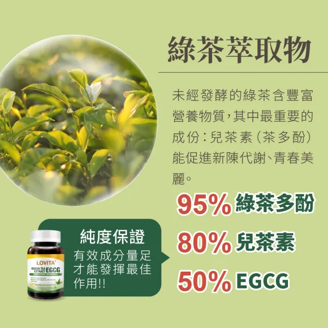 【LOVITA 愛維他】綠茶兒茶素EGCG白藜蘆醇素食膠囊 60顆(兒茶素 綠茶多酚)