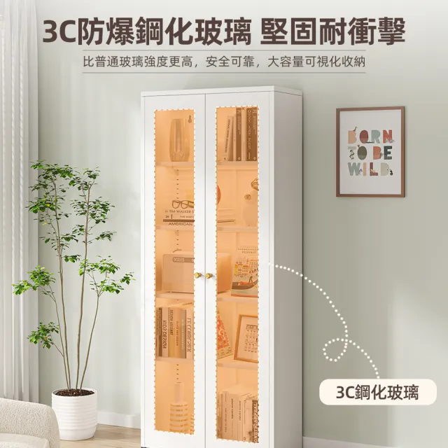 【慢慢家居】專人組裝-雙門款全碳鋼超耐重現代簡約收納櫃(展示櫃 書櫃 泡泡瑪特 儲物櫃 鋼化玻璃門)