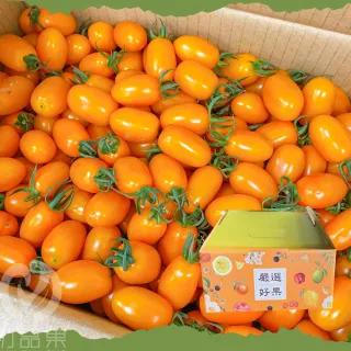 【初品果】產地直送橙蜜香小番茄禮盒4斤x1盒(3/2陸續出貨_含箱重_春節禮盒/春節送禮)