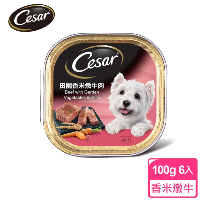 【Cesar 西莎】momo獨家組 寵物/狗罐頭/狗食 任選(餐盒*12+蒸鮮包*4)