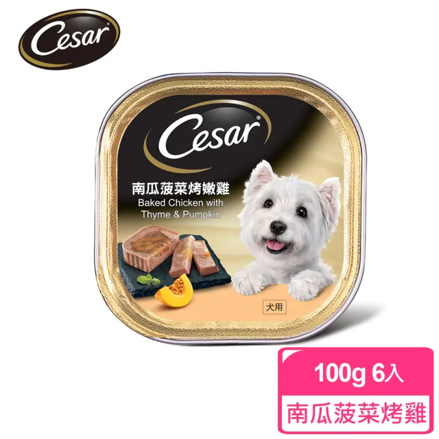 【Cesar 西莎】momo獨家組 寵物/狗罐頭/狗食 任選(餐盒*12+蒸鮮包*4)
