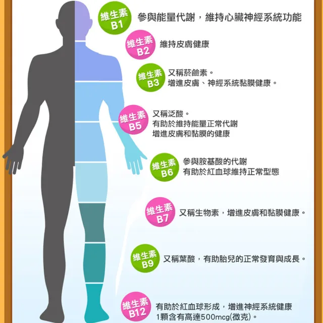 【健康優見】活力B群糖衣錠升級版x10瓶(30粒/瓶)-永信監製