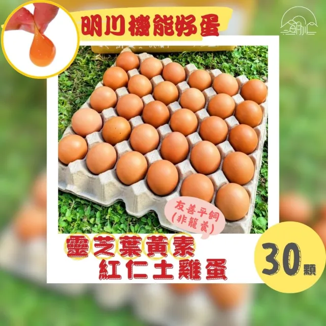 【明川蛋品】靈芝葉黃素紅仁土雞蛋×30顆_30顆/盤_新鮮直送(友善平飼*非籠養*靈芝三萜&金盞花葉黃素機能蛋)