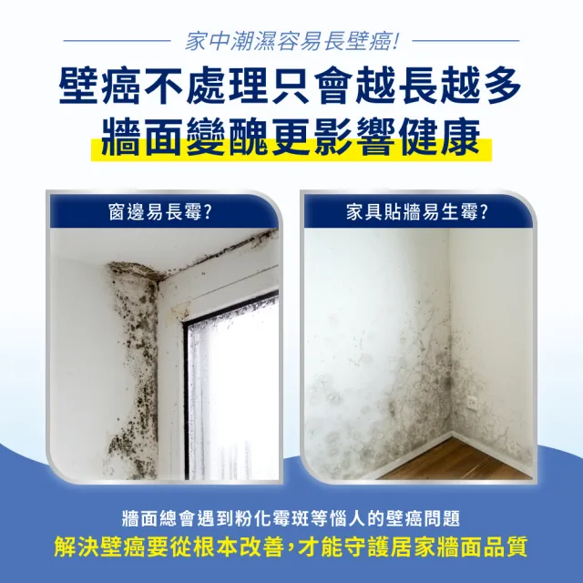 【Dulux得利官方店】抗壁癌威力包（3公升組裝）(壁癌)