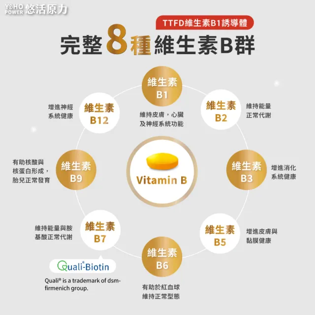 【悠活原力】原力緩釋維生素B群 緩釋膜衣錠X1盒(60粒/瓶 添加葉酸 牛磺酸 鋅)