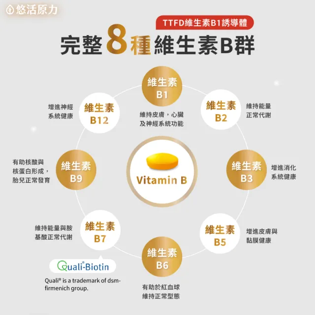 【悠活原力】原力緩釋維生素B群 緩釋膜衣錠x2(60粒/瓶 共120粒 添加葉酸 牛磺酸 鋅)