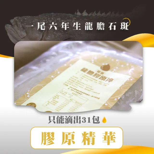 【蘇班長安心石斑】黃金暖薑龍膽膠原淬200g/包 30包/組(龍膽石斑 謝宜芳老師真心推薦 2026配方再升級)