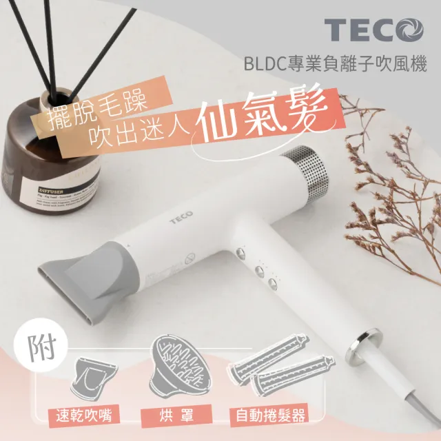 【TECO 東元】BLDC專業負離子吹風機(XYFXZ003)