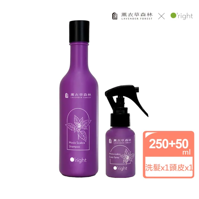 【2026】歐萊德洗髮精推薦｜10款高評價人氣品牌排行榜 | BALIMAN情報局