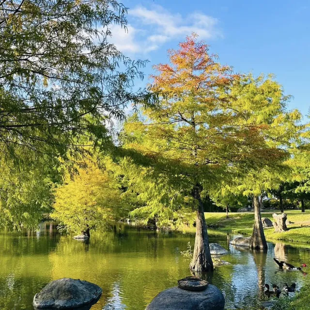五星太魯閣晶英花東泡湯山海饗旅3日(M)