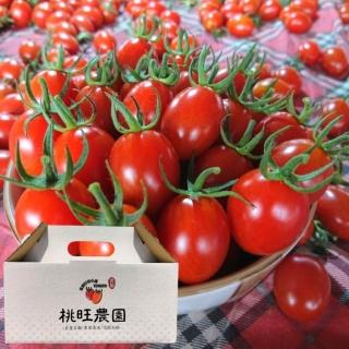 【黑貓嚴選】桃旺農園-產銷履歷玉女小番茄4盒(3000g/盒；水果禮盒；伴手禮)