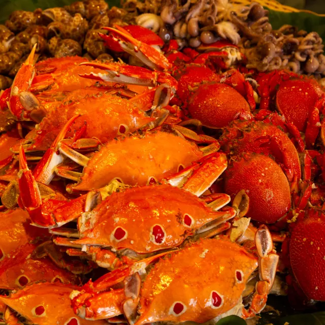 【台北茹曦酒店】SUNNY BUFFET自助式午或晚餐券(假日+200)